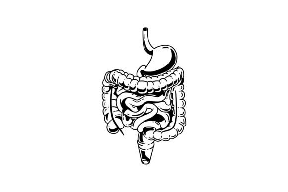 A Designer's Take on the Stomach and Intestines Illustration