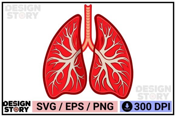 A Designer’s Hands-On Review of the Clinical Education Lung Diagram