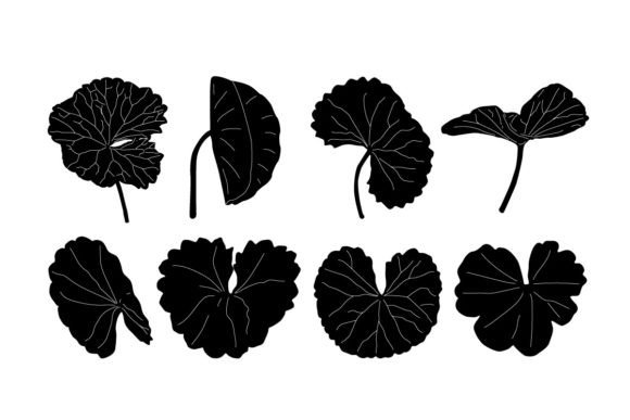 Gotu Kola Silhouette: A Designer’s Embroidery Evaluation