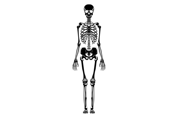 Skeleton Black Silhouette: A Designer’s Honest Review